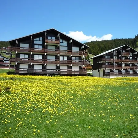 Appartement Avec Grande Terrasse Et Emplacement Idéal - Fr-1-293-15